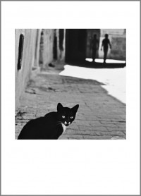 #23. Тунис, 2010, цикъл ”Тя“ пигментен отпечатък, 70 x 50 см., рамка цена: 220лв.