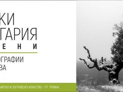 Изложбата „Хроники от България: Корени“ през юли в Трявна